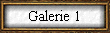 Galerie 1